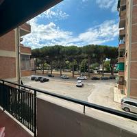 Appartamento con terrazza vista pineta Rif. 15