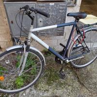 bicicletta da passeggio uomo