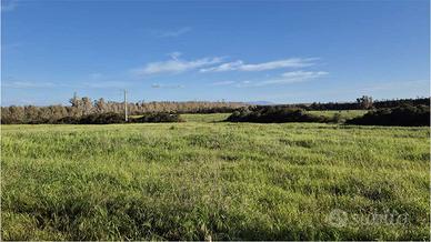 Terreno Agricolo a Santa Maria La Palma