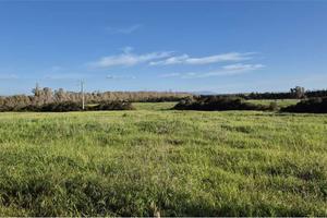 Terreno Agricolo a Santa Maria La Palma