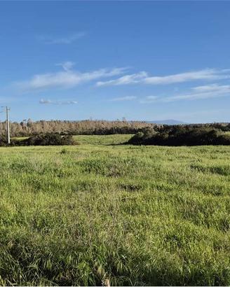 Terreno Agricolo a Santa Maria La Palma