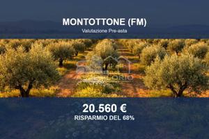 Immobile in asta di 424580 m² a Montottone