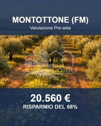 Immobile in asta di 424580 m² a Montottone