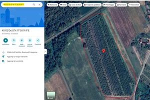 Piantagione di Nocciole Bosnia Erzegovina