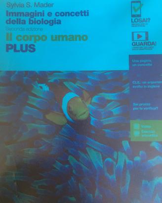 Il corpo umano plus