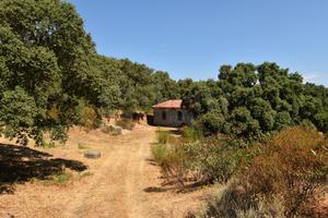 Rustico/Casale/Corte Telti [Cod. rif 3328734VRG]