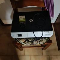 stampante hp