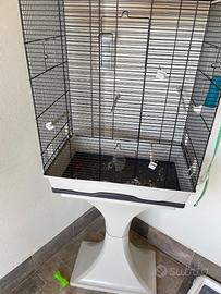 Gabbia per pappagalli