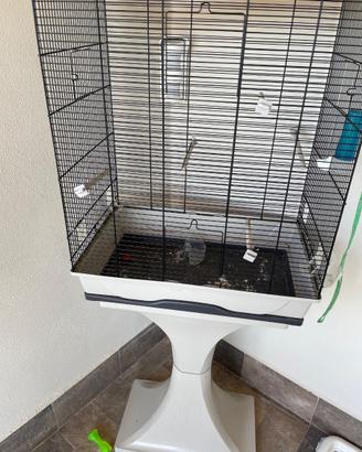 Gabbia per pappagalli