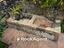 Immagine 26