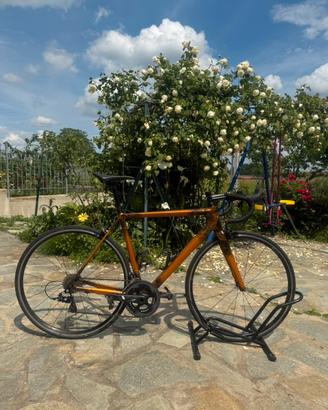 Argon 18 gallium pro carbon