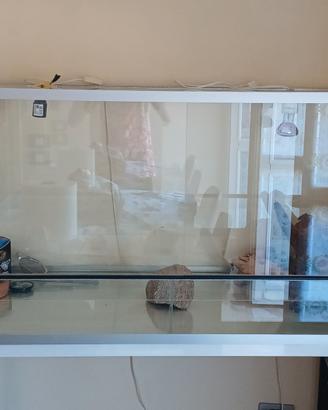 Teca in vetro