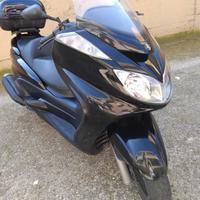 Yamaha Majesty 400 - Anno 2007 - 40.000 km