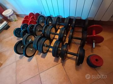 Manubri pesi da palestra professinali