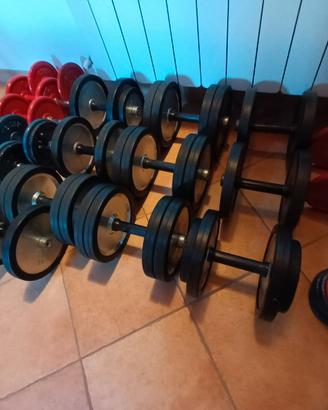 Manubri pesi da palestra professinali