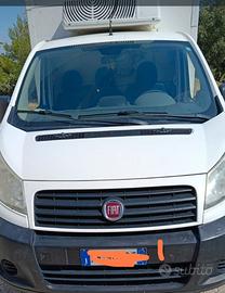 Furgone scudo refrigerato