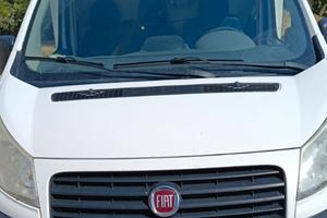 Furgone scudo refrigerato