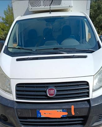 Furgone scudo refrigerato