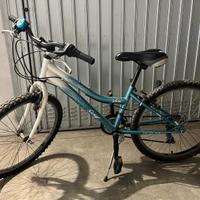 Bicicletta media
