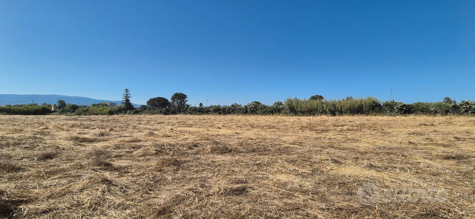 Terreno agricolo Fenosu - Vista 2