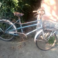 biciclette da trasporto Torpado