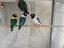Immagine 1