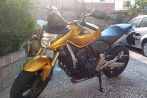 Honda Hornet 600