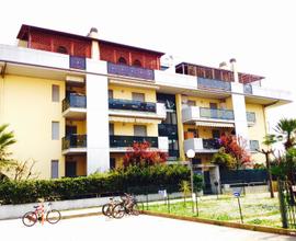 Trilo 5/6 pax a Villa Rosa, mare a 50 m