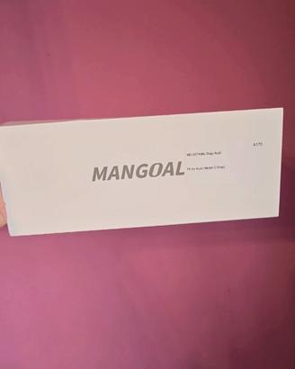 dash cam integrata in stile OEM della Mangoal