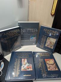 Anatomia umana Anastasi 1-2-3+ Atlante Netter