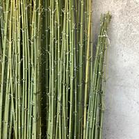 150 canne di bambù per orto giardino