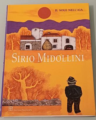 Il sole nell'aia" di Sirio Midollini, 1998.
