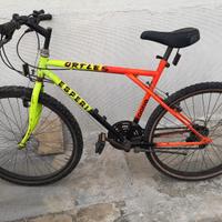 Biciclette MTB usate