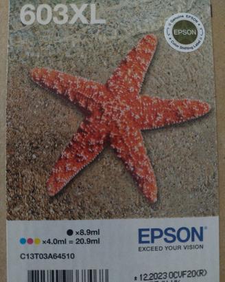 Epson Serie 603XL Stella Marina Cartucce stampante