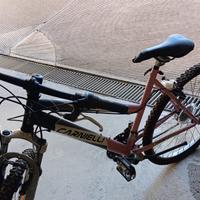 Bicicletta