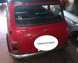 Mini Matic 1000