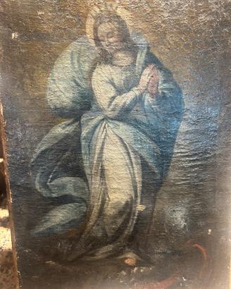 Immacolata XVII
