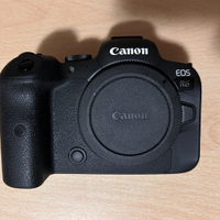 Canon R6 - < 10.000 scatti