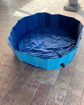 Piscina per cani