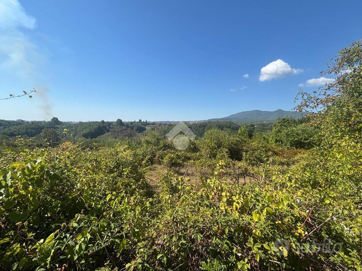 TER. AGRICOLO A ARTENA - Vista 2