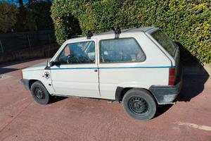 panda 900 young