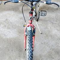 2 MOUNTAIN-BIKE UOMO E DONNA RAGGIO 24.
