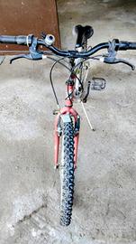 2 MOUNTAIN-BIKE UOMO E DONNA RAGGIO 24.