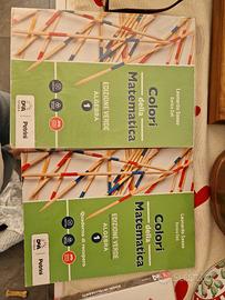 colori della matematica 1 edizione verde