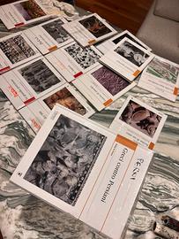 Collezione completa Osprey Publishing Roma/Grecia