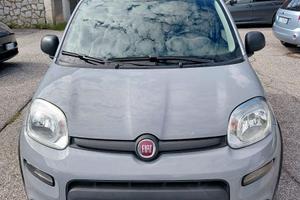 FIAT PANDA 5 POSTI BENZINA IBRIDA - ANNO 2022