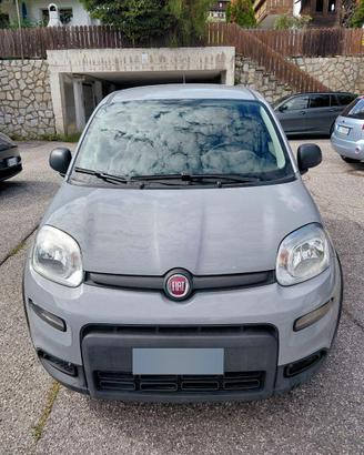 FIAT PANDA 5 POSTI BENZINA IBRIDA - ANNO 2022