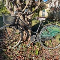 Bicicletta donna vintage Ceriz, freni bacchetta