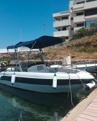 Barca  Allegra 19 + Selva 100cv