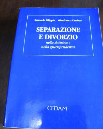 Volume "Separazione e divorzio" nella dottrina....